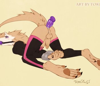 picture 210.png