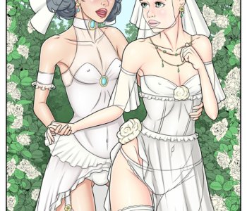 Wedding Porn Comics