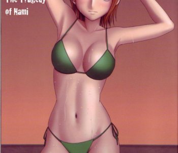 One Piece Doujinshi - Nami Sai Porn Comics