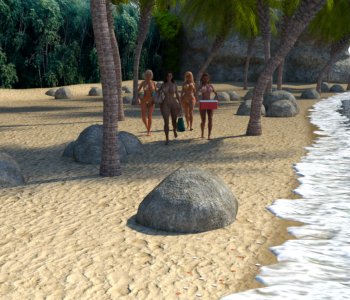 Beach Holiday Porn Comics